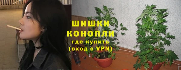 стаф Ростов