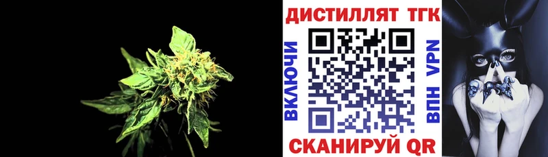 МЕГА зеркало  как найти закладки  Камышлов  ТГК концентрат 
