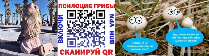 это клад  где купить наркоту  Камышлов  Псилоцибиновые грибы ЛСД 