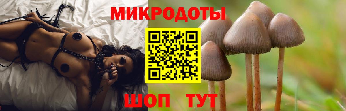 Галлюциногенные грибы Magic Shrooms  Вход с VPN  купить   Камышлов 